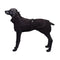 Impermeable Cálido para Perros Grandes y Medianos