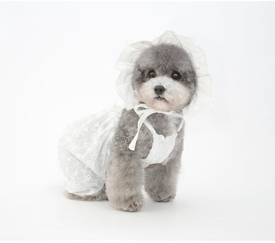 Adorno Navideño Gorro para Mascota Cachorro - Image 9