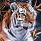 Pintura de Diamantes Tigre 3D con Hojas de Bambú - Kit de Mosaico de Cuentas DIY