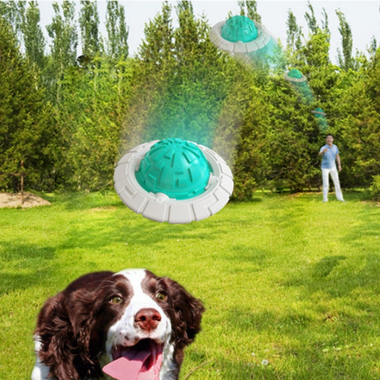 Green and white plastic dog toy with a textured ball center and a flat ring, designed for teeth grinding and sound interaction.
