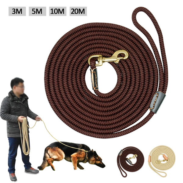 Cinturón de Adiestramiento Canino