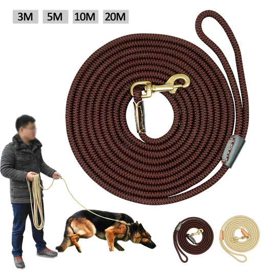 Cinturón de Adiestramiento Canino
