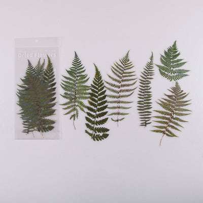 Stickers Decorativos Flores para Scrapbooking, Bullet Journal y DIY - Image 9