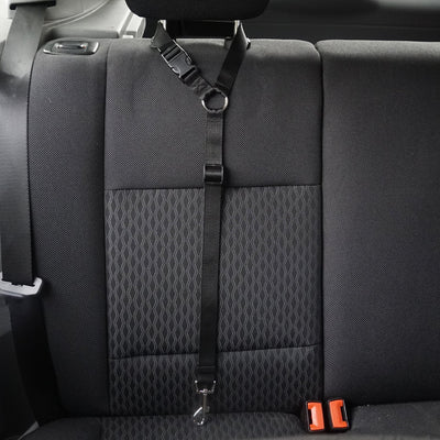 Correa de Seguridad para Mascotas - Image 2