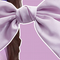 Accesorios para el cabello con moños elegantes