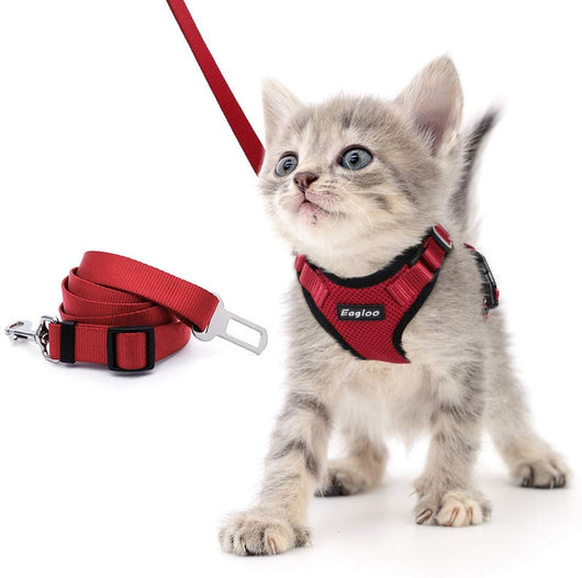 Arnés de Chaleco para Gato a Prueba de Escape con Adaptador de Cinturón de Seguridad - Image 26