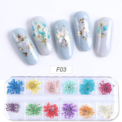 Flores Secas para Nail Art - Image 12