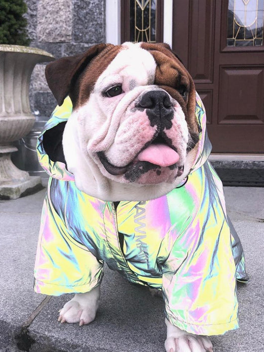 Ropa Reflectante Microcristalina para Perros