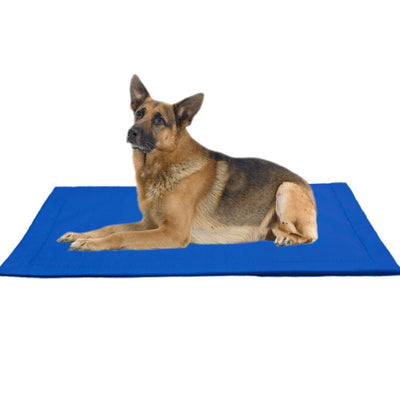 Tapete Resistente a Mordidas para Perros Grandes - Golden Retriever - Image 10