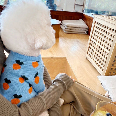 Suéter Tejido para Perros con Estampado Adorable - Manga Larga - Image 2