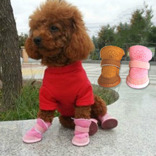 Botas de Nieve para Perros Teddy