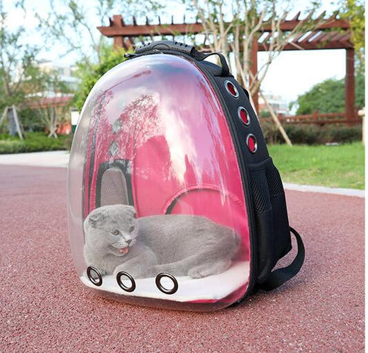 Mochila Transparente para Mascotas - Image 3