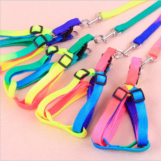 Correas Coloridas para Mascotas - Image 6