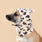 Diadema Adorable de Oso y Orejas de Conejo para Mascotas