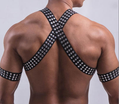 Conjunto de Arnés Pectoral Premium - Image 6