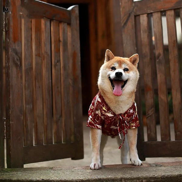 Kimono Japonés para Perros - Camiseta de Verano para Shiba Inu, Bulldog y Mascotas