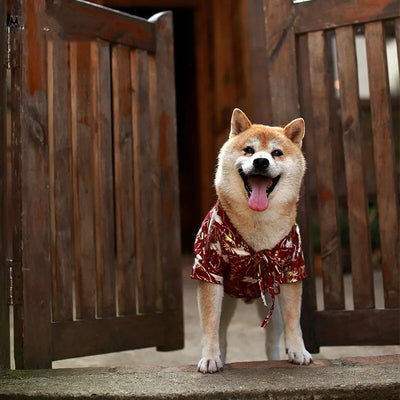 Kimono Japonés para Perros - Camiseta de Verano para Shiba Inu, Bulldog y Mascotas