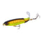 Tiger Yellow - 13G