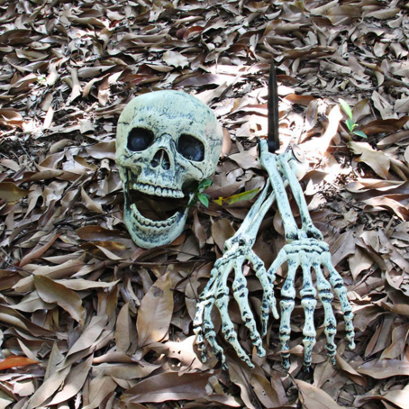 Decoración Halloween Calaveras y Garras - Props de Terror para Casa Embrujada - Image 3