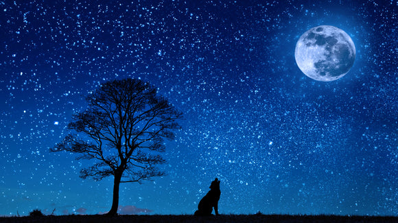 Tapiz Lunar de Lobo - Patrón Místico