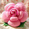 Rosa 25 Cm