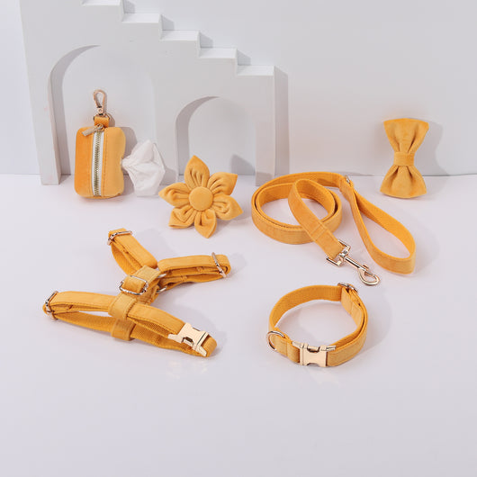 Conjunto de Collar y Correa de Terciopelo Suave para Mascotas - Image 23