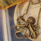 Octopus retro long necklace Octopus