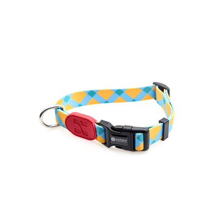 Collar de Perro Colorido - Image 13