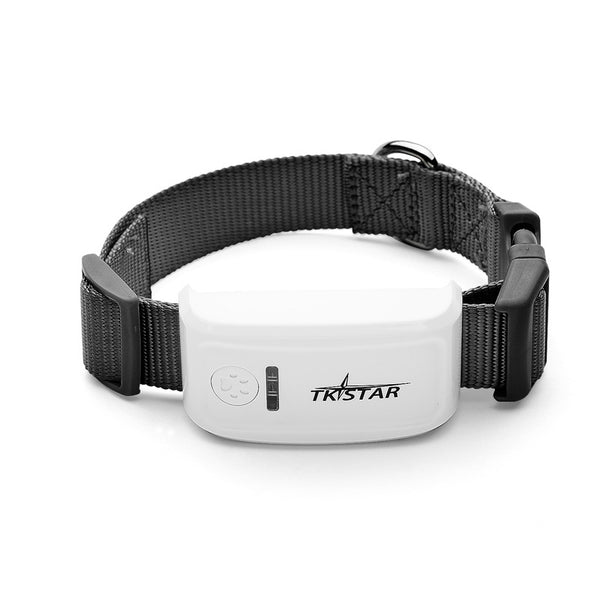 Localizador GPS para Gatos - Rastreador en Tiempo Real