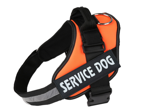 Arnés de Pecho para Perro con Correa Integrada - Image 21