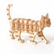 Modelo Estéreo de Animal DIY