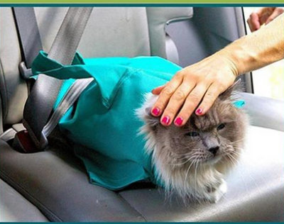 Mochila Transportadora Respirable para Gatos y Perros Pequeños - Bolsa de Viaje - Image 3