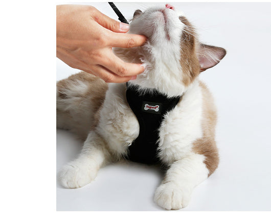 Arnés Antideslizante para Gatos - Image 5