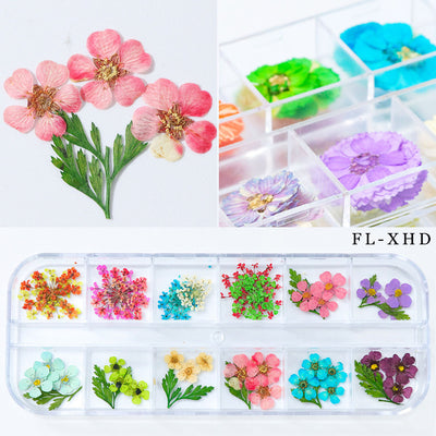 Flores Secas para Nail Art - Image 3