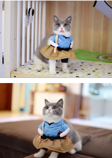 Disfraz de Gato Divertido - Traje Uniforme para Cosplay y Fiestas - Image 3