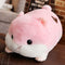 Rosado Pillow 50 Cm