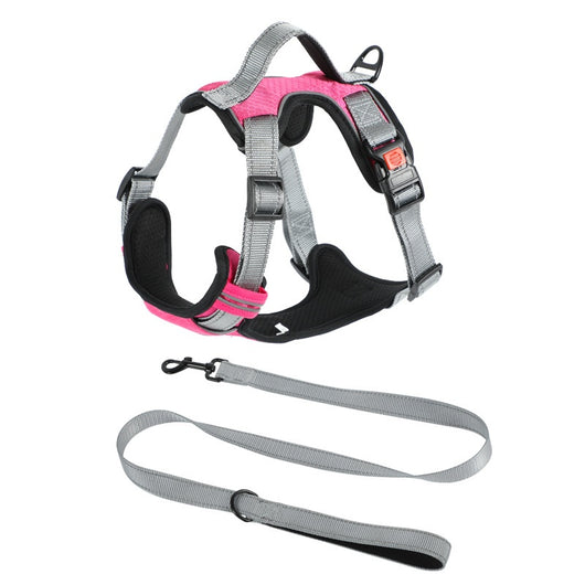 Arnés Chaleco para Perro con Cuerda de Sostén Manual - Image 25