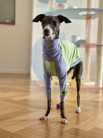 Chaleco de Algodón con Combinación de Colores para Perro Terrier Linton - Image 3