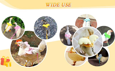 Arnés Ajustable con Alas y Cuerda de Tracción para Aves de Corral y Mascotas Pequeñas - Image 21