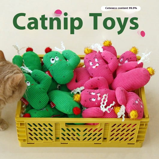 Juguete Interactivo Gato Cactus Resistente a Mordidas