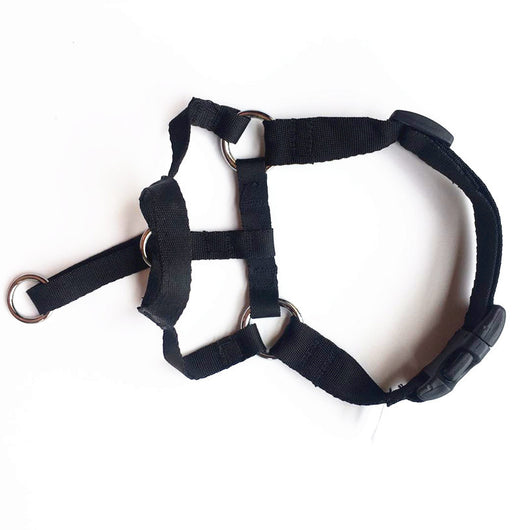 Bozal Ajustable para Perros - Máscara Transpirable Antimodidas y Anticomida - Image 5