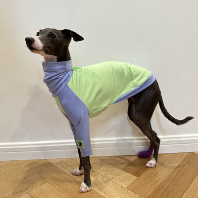 Chaleco de Algodón con Combinación de Colores para Perro Terrier Linton