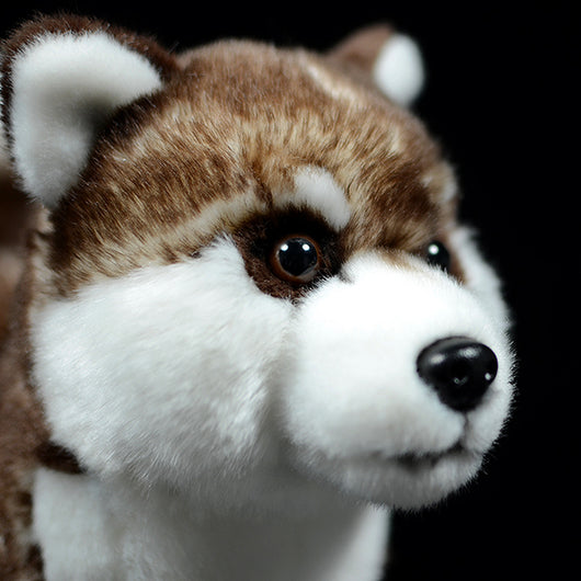 Peluche Husky Marrón Realista - Juguete de Simulación Premium - Image 3