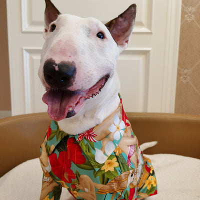 Playera Hawaiana con Patrón de Gato y Perro - Diseño Tropical Moderno - Image 4