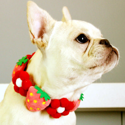 Pañoleta Bandana Ajustable para Perros Medianos y Grandes - Corgi y Mascotas - Image 13