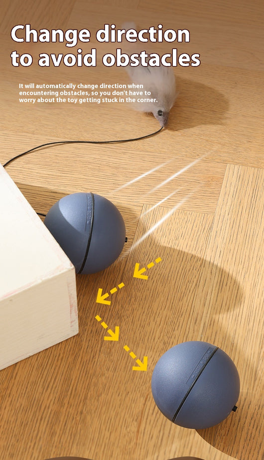 Juguete Interactivo Eléctrico para Gatos y Perros - Pelota Ratón Móvil - Image 12