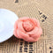Korean high-end fashion Brooch Rosado