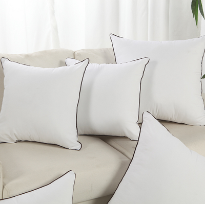 Almohada de Terciopelo Pluma
