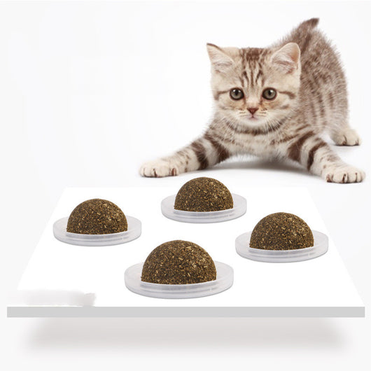Four green cat grass or catnip balls on clear plastic bases, with a playful tabby kitten in the background.