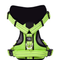 Green L